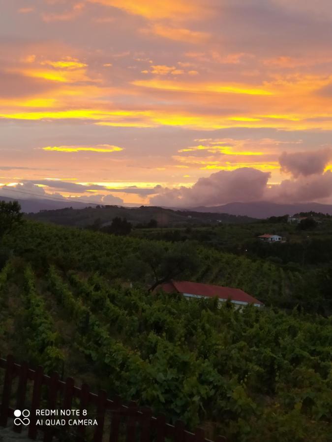 Casa Das Vinhas Velhas By Casa Do Poco Peso da Regua Luaran gambar